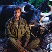 ロバート・ダウニー・Jrが黒人に!?『ダークナイト』を抜いた映画とは?