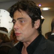 チェ・ゲバラを演じたベニチオ・デル・トロ、カストロとも面会したと激白【第52回ロンドン映画祭】