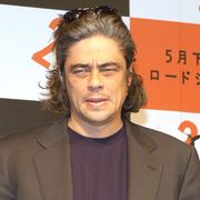 ベニチオ・デル・トロ、ペネロペ・クルスがゴヤ賞獲得