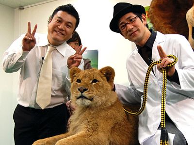アンタッチャブルの山崎、本物のライオンにビビりながらも宣伝忘れず！
