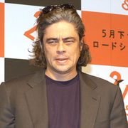 ベニチオ・デル・トロ、ベネズエラのチャべス大統領と面会
