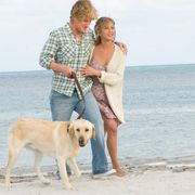 映画ヒットの秘密は犬にあり?今年は犬映画が激アツ!