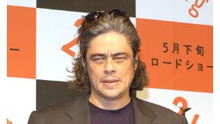 ショーン・ペンとジム・キャリーとベニチオ・デル・トロによる三バカ大将実現か？