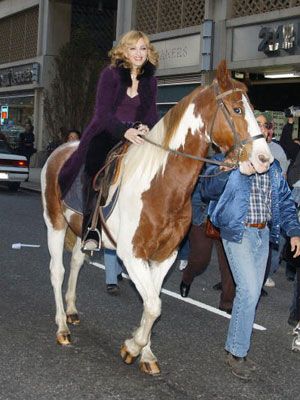 マドンナが落馬、病院に運ばれる！原因はパパラッチに馬が驚いたため