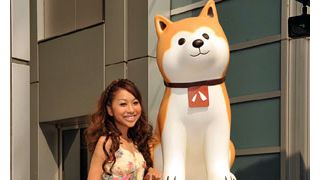 青山テルマ、ハリウッド版ハチ公物語で初洋画主題歌