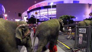 マイケル・ジャクソンさんの追悼式前にゾウ11頭と馬7頭が会場入り