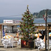 夏なのに!巨大クリスマスツリーが突如出現!湘南ビーチは大さわぎ?