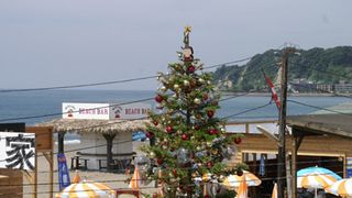 夏なのに！巨大クリスマスツリーが突如出現！湘南ビーチは大さわぎ？