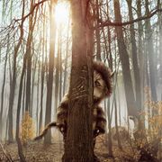世界中で2,000万人が読んだ「かいじゅうたちのいるところ」が実写映画化!