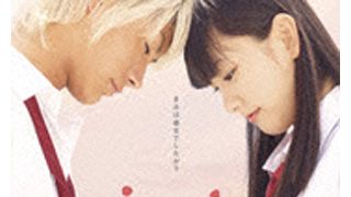 現役高校生が選ぶ！ケータイ小説家人気ナンバーワンは『恋空』の美嘉！