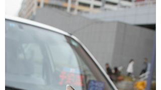 出生率は数十万分の一の奇跡!世界でも希少なオスの三毛猫がカンニング竹山とW主演!