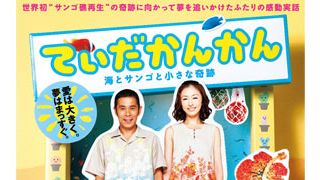 ナイナイ岡村隆史と山下達郎がコラボ！「てぃだかんかん」主題歌で岡村は初のミュージックビデオ出演