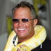 3D世代向けの新『ジョーズ』が製作!監督は『ファイナル・デッドサーキット 3D』のデヴィッド・R・エリス
