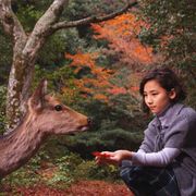 本木雅弘、娘の伽羅の演技に合格点!…も「仕事を続ける意思はありません」と父の顔も崩さず