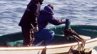 日本のイルカ漁描く『ザ・コーヴ』が東京での上映中止に！抗議殺到で全国での上映も協議中