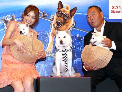 ソフトバンクお父さん犬 子どもたちを初お披露目 超かわいいっ 犬好きの小倉優子もメロメロ シネマトゥデイ