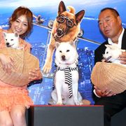 ソフトバンクお父さん犬、子どもたちを初お披露目!超かわいいっ!犬好きの小倉優子もメロメロ