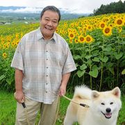号泣必至!西田敏行主演「星守る犬」映画化!40万本のひまわりに囲まれてクランクイン