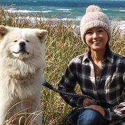 ぶさいくだけどかわいい!ブサかわ犬、わさおが青森で記者会見!薬師丸ひろ子も「頼りがいがある!」と絶賛!