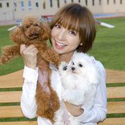 AKB48篠田麻里子、映画初出演決定!超“犬”親バカ役で「ご覧いただくのがドキドキ」