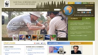 ディカプリオ、トラの保護に約8,300万円を寄付！「今行動しなければ、30年後にトラはいなくなる」と声明