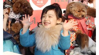 天才子役の芦田愛菜、39頭の犬に囲まれ愛らしさ満開！北乃きいみたいなお姉ちゃんがほしいとラブコール！