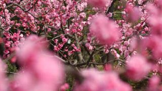 福島が舞台の映画、撮影は予定どおり福島で決行　放射線量が少ない地域を選びあえて撮影の理由