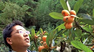 原発に代わる自然エネルギーの提案映画『ミツバチの羽音と地球の回転』が連日立ち見の大盛況!レイトショーも緊急決定!