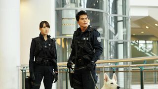 ショッピングモールを実際に爆破？生の映像にこだわった市原隼人、戸田恵梨香共演の映画『DOG×POLICE』特報解禁