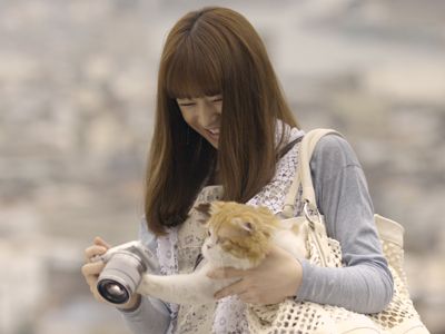 北川景子 素の笑顔 愛猫と新cm リラックスしてほっこり シネマトゥデイ