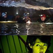 米『サンクタム』vs.日『ラビット・ホラー』日米3D対決が9月に勃発!飛び出すか奥に広がるか!?3Dの明日はどっちだ?