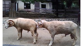 不謹慎でもいい!?「つながる写真」投稿求ム！まさかの大ヒット『ムカデ人間』で日本総ムカデ化？