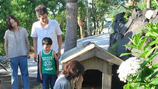 三宅島のわんこ・ロックは映画クランクイン前に死去 映画『ロック~わんこの島~』に隠された秘話