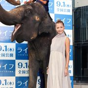 土屋アンナ、ゾウを従え『ライフ』プレミアイベント登場も「あたしがいなくてもよかったと思う!」