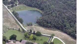 ブラッド・ピットが子どもたちのためにポニー6頭を購入