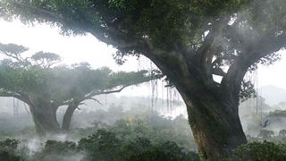 ディズニーがジェームズ・キャメロンと共に『アバター』アトラクション施設を建設！ディズニー・リゾートにパンドラが！