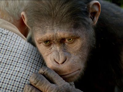 『猿の惑星』が2週連続トップで動員100万人突破！市川海老蔵主演の『一命』は初登場で4位発進【映画週末興行成績】