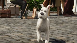 愛犬?相棒?映画『タンタンの冒険』もふもふのスノーウィの魅力とは?