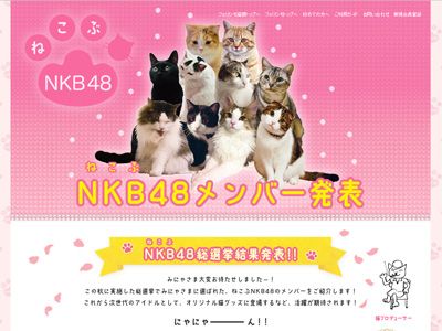 史上最強のアイドルネコグループ!?「ねこぶ48」こと「NKB48」総選挙結果発表！