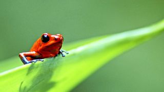 ネイチャードキュメンタリーの最高傑作! まるで神業のような映像の舞台裏に迫る