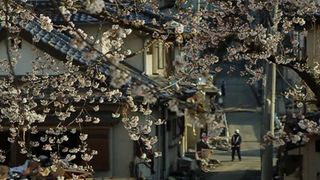 アカデミー賞ドキュメンタリー短編賞ノミネート作品東日本大震災からの復興を描いた『津波そして桜』はいまだ日本公開の予定なし…