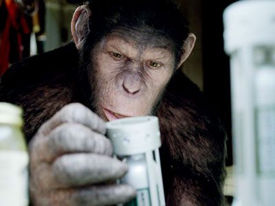 猿の惑星 最新作が劇場公開時の勢いのまま初登場トップ キャプテン アメリカ も3位にランクイン 週間レンタルランキング シネマトゥデイ