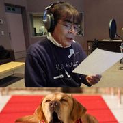 香取慎吾主演映画は「寅さん」?ナレーションに抜てきの小倉久寛が断言「犬界の寅さん」