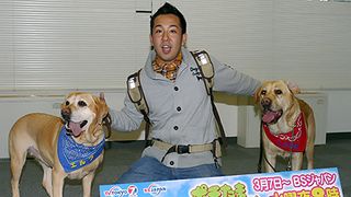 「ポチたま」、映画でまさお君を演じた犬が新たな旅犬の1匹に決定!!