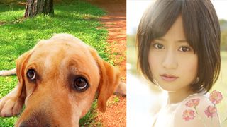 前田敦子、香取慎吾主演映画の主題歌に決定！秋元康書き下ろしのラブソングを歌う！
