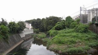 東京都にトトロの森が誕生！地権者が公益財団法人トトロのふるさと基金に無償寄附