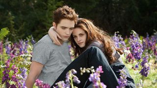 『トワイライト』上映館にライフルを持ち込もうとした男が逮捕…あわや「バットマン」銃撃事件の二の舞に