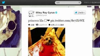 マイリー・サイラス、愛犬の死を報告……「人生で一番つらい」と悲痛のツイート