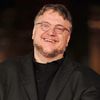 ギレルモ・デル・トロ監督に『スター・ウォーズ エピソードVII』の監督オファー