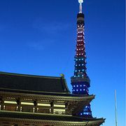 五輪東京開催の祈り込め…2,020個キャンドルアートがともる